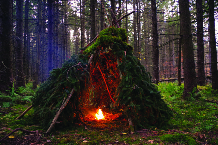 Basic Survival Shelters